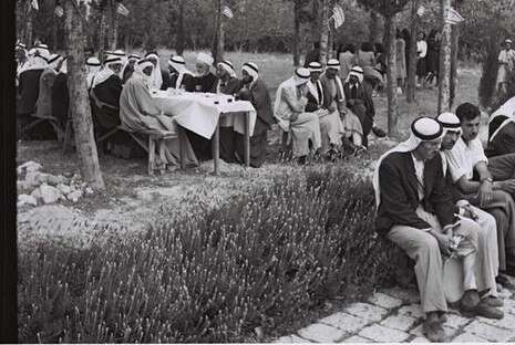 צילום: פריץ כהן, לשכת העתונות הממשלתית, 23.4.1950 צילום: פריץ כהן, לשכת העתונות הממשלתית, 23.4.1950