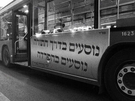 צילום: שולמית ויינפלד צילום: שולמית ויינפלד