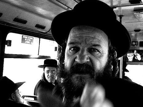 צילום: שולמית ויינפלד צילום: שולמית ויינפלד