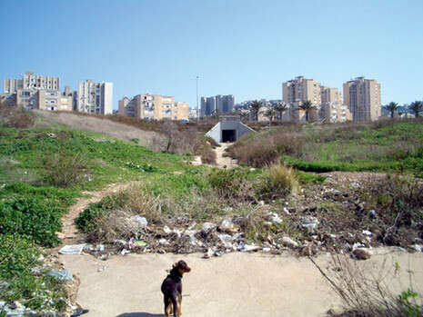 צילום: דורון הורוביץ צילום: דורון הורוביץ