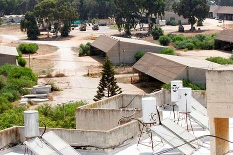 רענן כהן רענן כהן