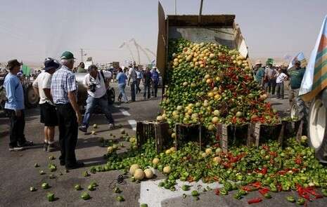 צילום: יהודה לחיאני צילום: יהודה לחיאני