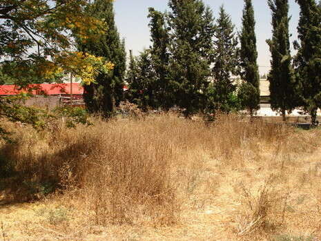 צילום: אודי תגרי צילום: אודי תגרי
