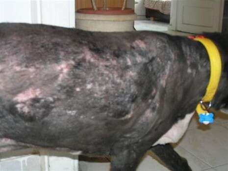 �����: ���� �� ������� 