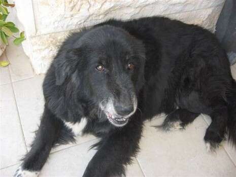 �����: ���� �� ������� 