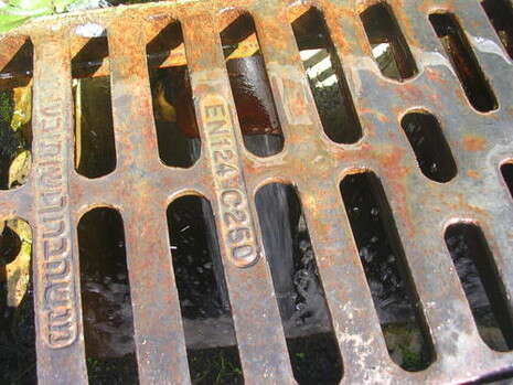 �����: �� ������