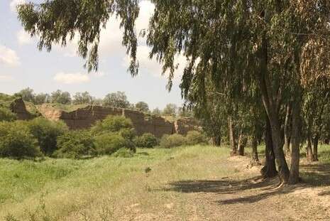 צילום: ארכיון קק''ל צילום: ארכיון קק''ל