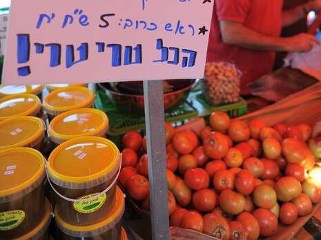 צילום: רובי קסטרו צילום: רובי קסטרו