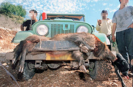 �����: ��� ��