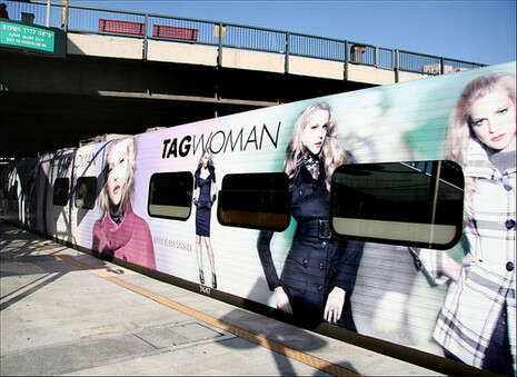 �����: ���� �����