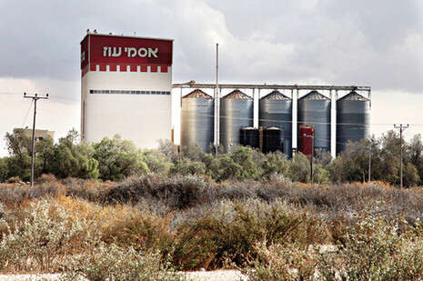 צילום: יהודה לחיאני צילום: יהודה לחיאני