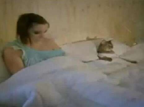 ���� �����