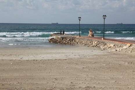 צילום: אלכס רוזקובסקי צילום: אלכס רוזקובסקי