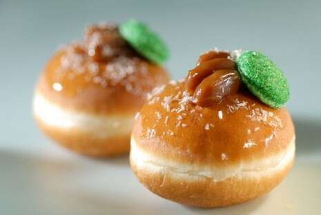 צילום: יחסי ציבור צילום: יחסי ציבור