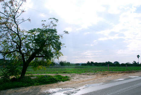 צילום: זמן רחובות צילום: זמן רחובות