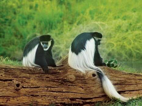 צילום: יח''צ צילום: יח''צ