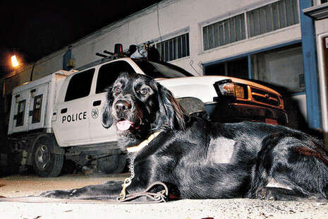 �����: ���� �����