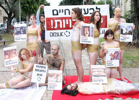 �����: ����� �������� ������� ����-����