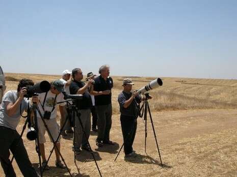 צילום: יוסי לשם באדיבות החברה להגנת הטבע צילום: יוסי לשם באדיבות החברה להגנת הטבע