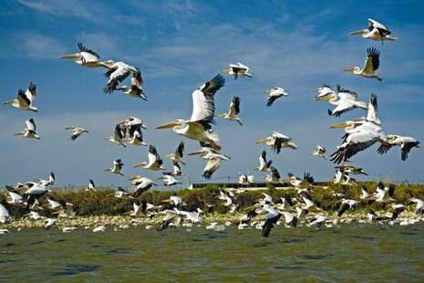 צילום: חגי נתיב צילום: חגי נתיב