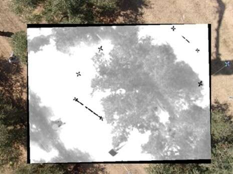 צילום באדיבות מכון וולקני צילום באדיבות מכון וולקני