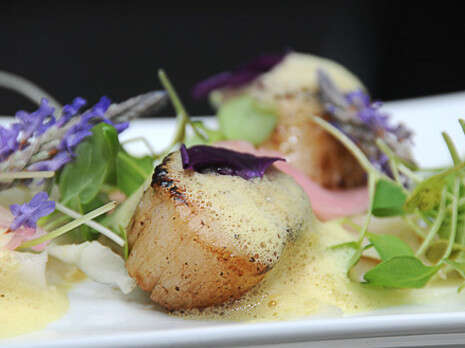 �����: ���� ��������