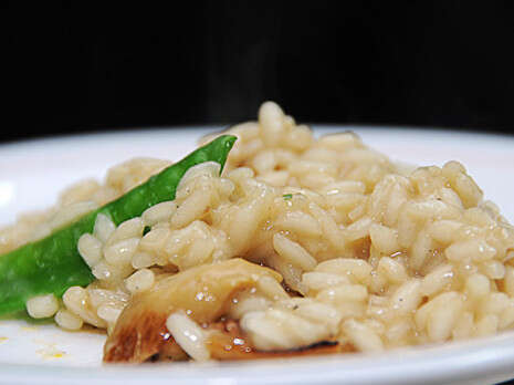 �����: ���� ��������