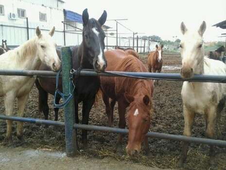 �����: ������� �������'