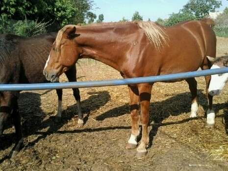 �����: ������� �������'