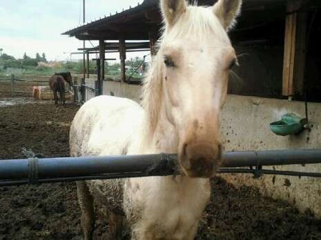 �����: ������� �������'