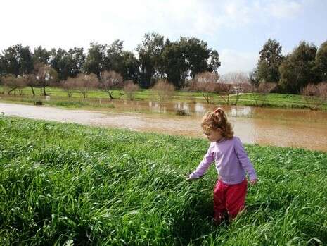 צילום: שי אסולין צילום: שי אסולין