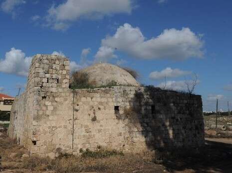 צילום: ראובן קסטרו צילום: ראובן קסטרו