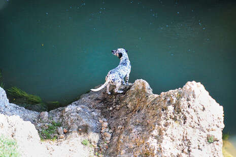 צילום: חמד אלמקת צילום: חמד אלמקת