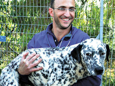 צילום: חמד אלמקת צילום: חמד אלמקת