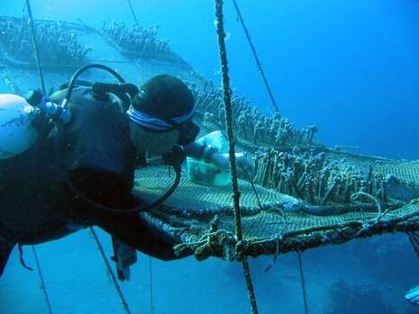 צילום: צביקה לבנת באדיבות אוניברסיטת בן גוריון בנגב. צילום: צביקה לבנת באדיבות אוניברסיטת בן גוריון בנגב.