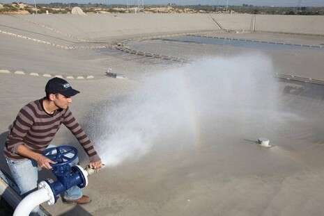 צילום ארכיון: מקס ילינסון צילום ארכיון: מקס ילינסון