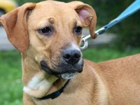 �����: ��� ���