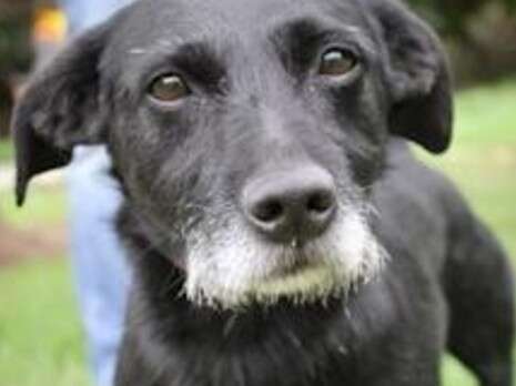 �����: ��� ���