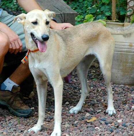 �����: SOS ����