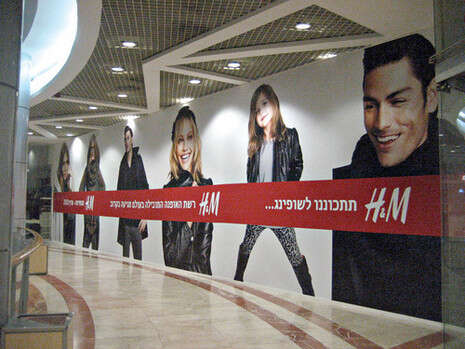 �����: ���� �����