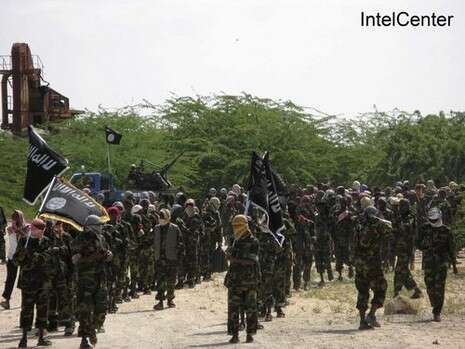 �����: ������