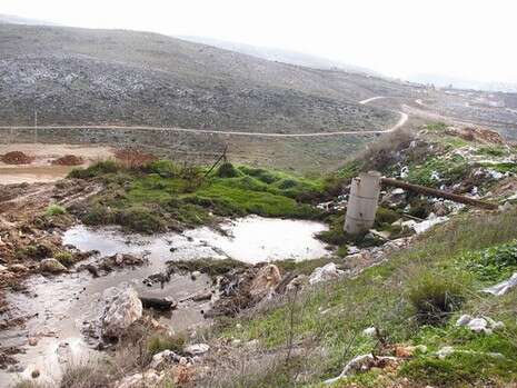 צילום: דרור אטקס - יש דין, ירוק עכשיו צילום: דרור אטקס - יש דין, ירוק עכשיו