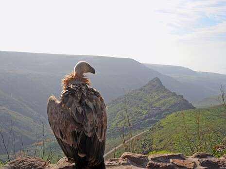 צילום: יח''צ צילום: יח''צ