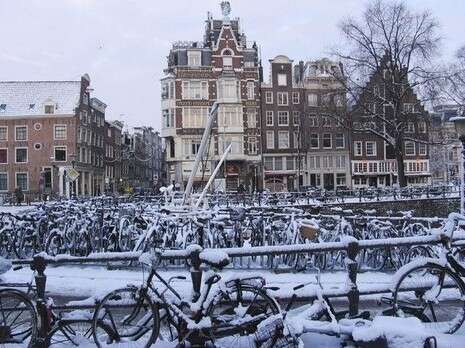 צילום: אי-פי צילום: אי-פי