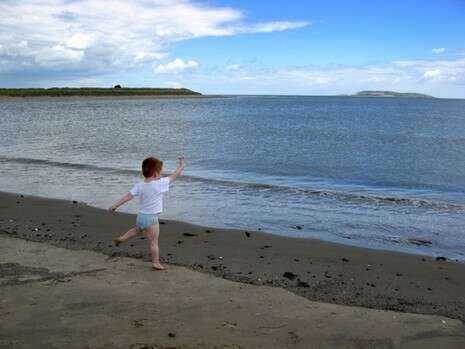 צילום: רחל אלגום צילום: רחל אלגום