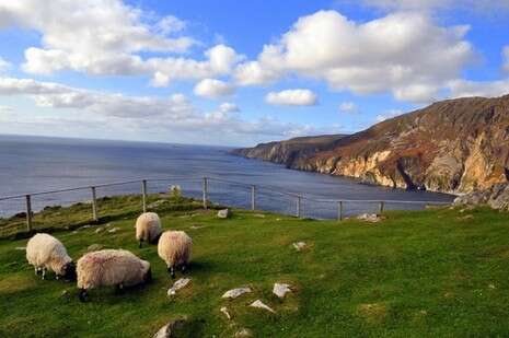 צילום: גל גרוס צילום: גל גרוס