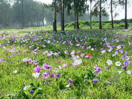 �����: ���� ���� 