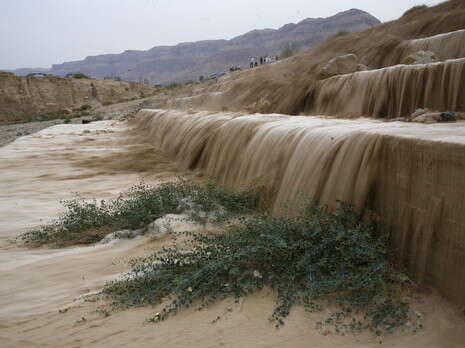 �����: ���� 90