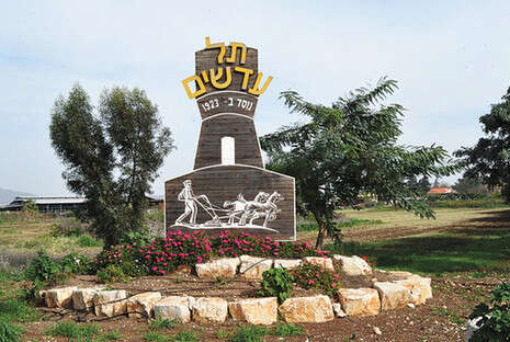 צילום: יגאל לוי צילום: יגאל לוי