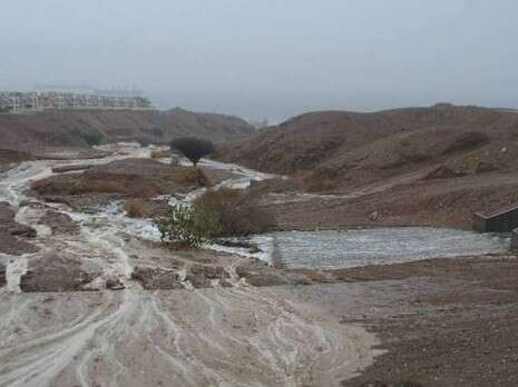 צילום: יהודה בן יתח צילום: יהודה בן יתח
